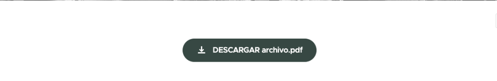 boton descargar archivo