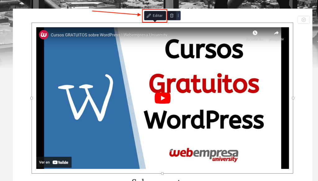 ver video