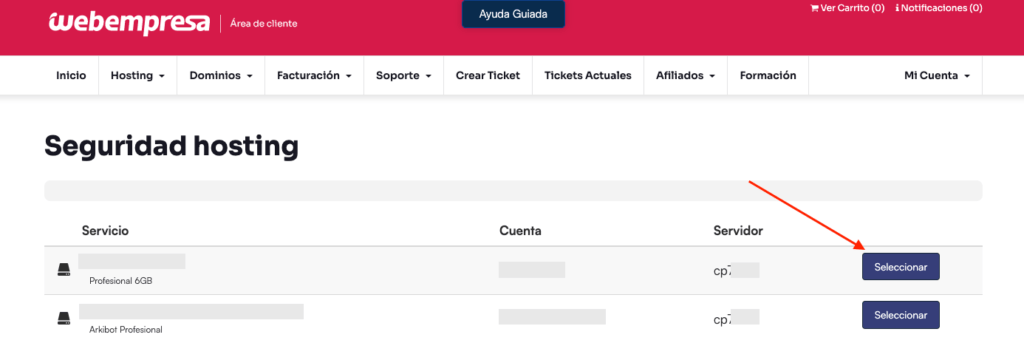 seleccionar hosting