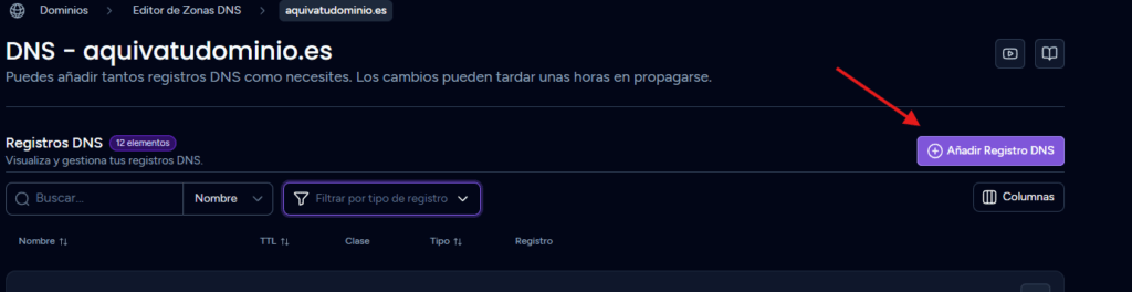añadir registro DNS añadir registro DNS